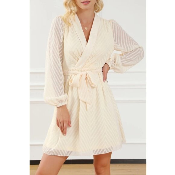 SYNZ Dresses & Skirts - Surplice Long Sleeve Mini Dress